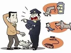 城管拖行犬只致死事件，社会反思与城市管理之困