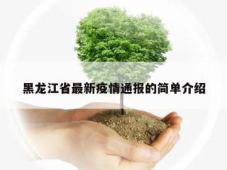 黑龙江省最新疫情通报的简单介绍