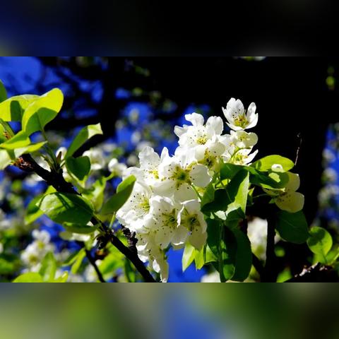 电子游戏下载地址✅-电子游戏app平台