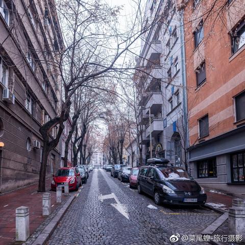 山间采蘑菇的意外邂逅,老鹰袭击事件当事人亲述 山间采蘑菇的意外邂逅,老鹰袭击事件当事人亲述